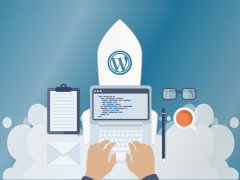 Wordpress CMS Hosting