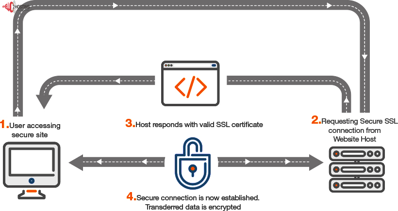 Paid or Free SSL Certificate 