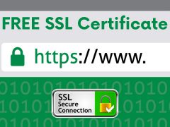 Paid or Free SSL Certificate