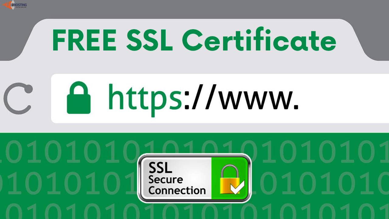 Paid or Free SSL Certificate 